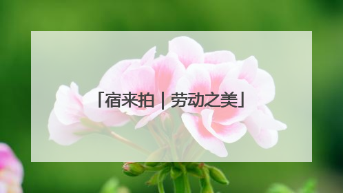 宿来拍｜劳动之美