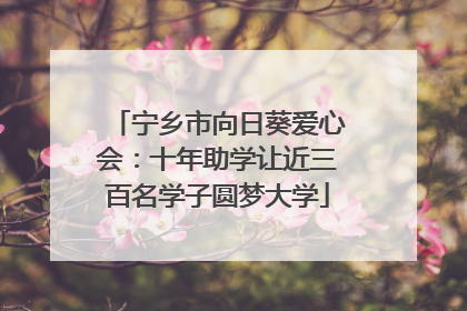 宁乡市向日葵爱心会：十年助学让近三百名学子圆梦大学