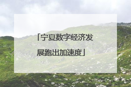 宁夏数字经济发展跑出加速度