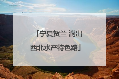 宁夏贺兰 淌出西北水产特色路