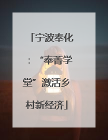 宁波奉化：“奉菁学堂”激活乡村新经济
