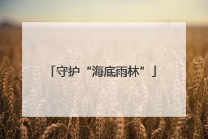 守护“海底雨林”