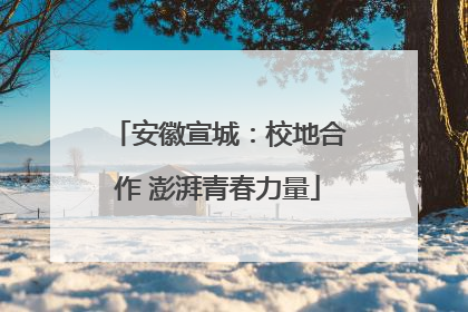 安徽宣城：校地合作 澎湃青春力量