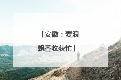 安徽：麦浪飘香收获忙