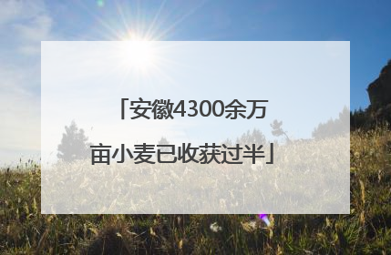 安徽4300余万亩小麦已收获过半