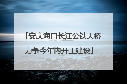 安庆海口长江公铁大桥力争今年内开工建设