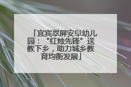 宜宾翠屏安阜幼儿园：“红烛先锋”送教下乡，助力城乡教育均衡发展