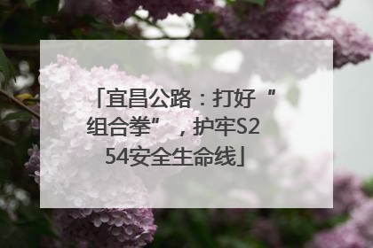 宜昌公路：打好“组合拳”，护牢S254安全生命线