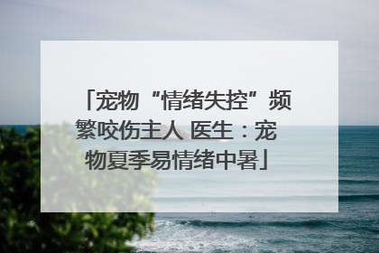 宠物“情绪失控”频繁咬伤主人 医生：宠物夏季易情绪中暑
