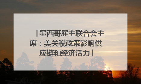 墨西哥雇主联合会主席：美关税政策影响供应链和经济活力