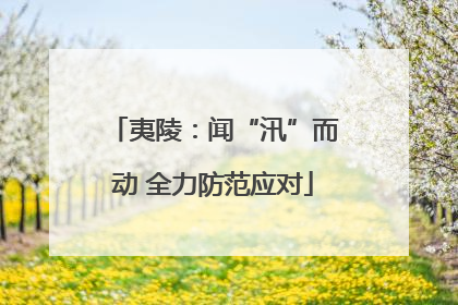 夷陵：闻“汛”而动 全力防范应对