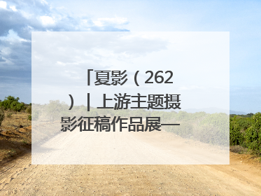 夏影（262）｜上游主题摄影征稿作品展——黄红专作品