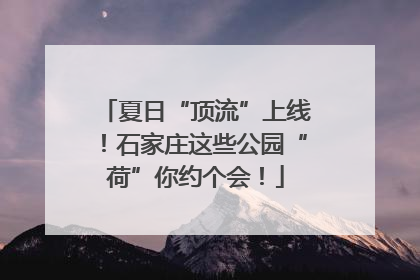 夏日“顶流”上线！石家庄这些公园“荷”你约个会！