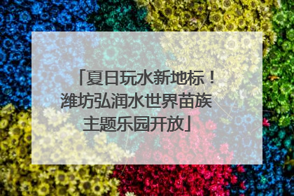 夏日玩水新地标！潍坊弘润水世界苗族主题乐园开放