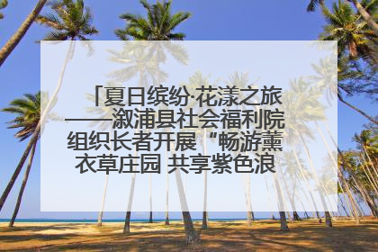 夏日缤纷·花漾之旅——溆浦县社会福利院组织长者开展“畅游薰衣草庄园 共享紫色浪漫”户外活动