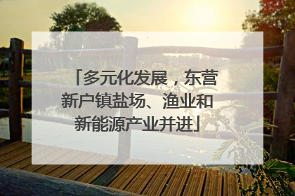 多元化发展，东营新户镇盐场、渔业和新能源产业并进