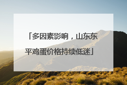 多因素影响，山东东平鸡蛋价格持续低迷