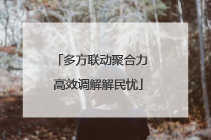 多方联动聚合力 高效调解解民忧