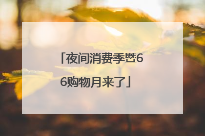夜间消费季暨66购物月来了