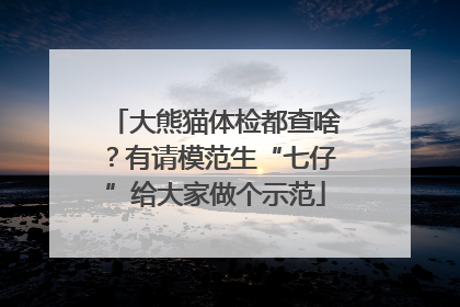 大熊猫体检都查啥？有请模范生“七仔”给大家做个示范