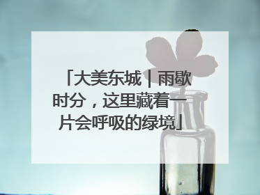 大美东城｜雨歇时分，这里藏着一片会呼吸的绿境