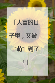 大喜的日子里，又被“萌”到了！