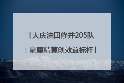 大庆油田修井205队：毫厘精算创效益标杆