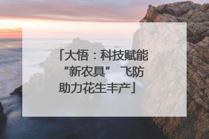 大悟：科技赋能“新农具” 飞防助力花生丰产