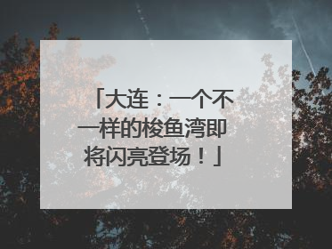 大连：一个不一样的梭鱼湾即将闪亮登场！