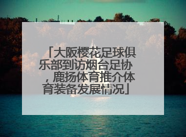 大阪樱花足球俱乐部到访烟台足协，鹿扬体育推介体育装备发展情况