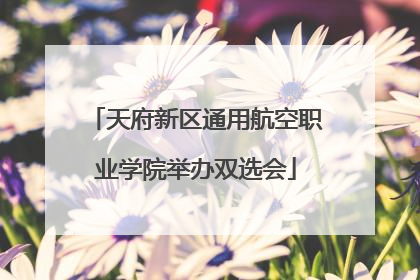 天府新区通用航空职业学院举办双选会