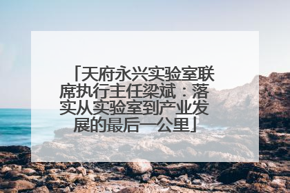 天府永兴实验室联席执行主任梁斌：落实从实验室到产业发展的最后一公里