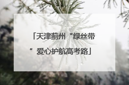 天津蓟州“绿丝带”爱心护航高考路