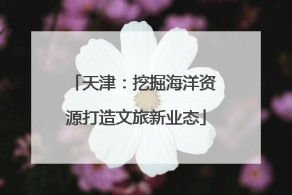 天津：挖掘海洋资源打造文旅新业态