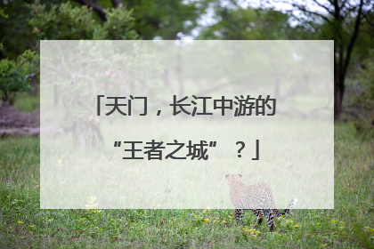 天门，长江中游的“王者之城”？