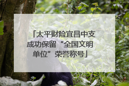 太平财险宜昌中支成功保留“全国文明单位”荣誉称号
