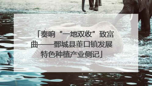 奏响“一地双收”致富曲——鄄城县董口镇发展特色种植产业侧记