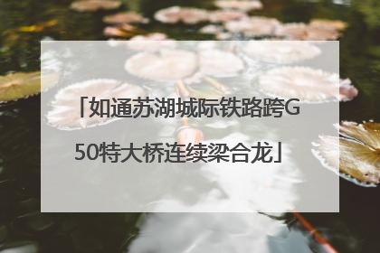 如通苏湖城际铁路跨G50特大桥连续梁合龙