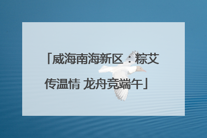 威海南海新区：粽艾传温情 龙舟竞端午