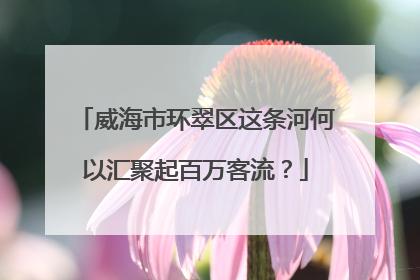 威海市环翠区这条河何以汇聚起百万客流？