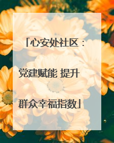 心安处社区：党建赋能 提升群众幸福指数
