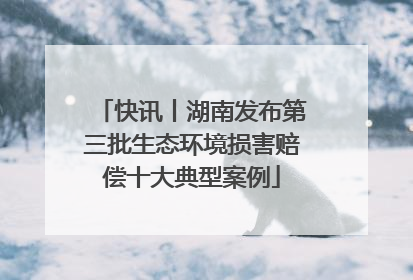 快讯丨湖南发布第三批生态环境损害赔偿十大典型案例