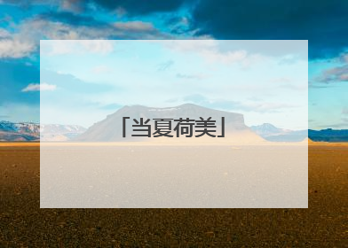 当夏荷美