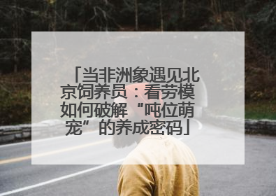 当非洲象遇见北京饲养员：看劳模如何破解“吨位萌宠”的养成密码