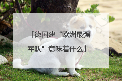 德国建“欧洲最强军队”意味着什么