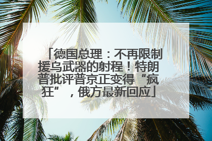 德国总理：不再限制援乌武器的射程！特朗普批评普京正变得“疯狂”，俄方最新回应