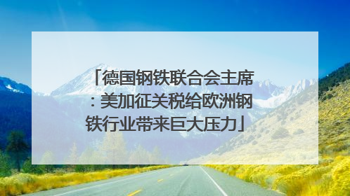 德国钢铁联合会主席：美加征关税给欧洲钢铁行业带来巨大压力