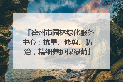 德州市园林绿化服务中心：抗旱、修剪、防治，精细养护保绿荫