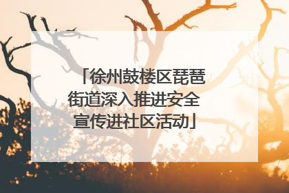 徐州鼓楼区琵琶街道深入推进安全宣传进社区活动