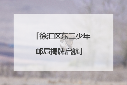 徐汇区东二少年邮局揭牌启航